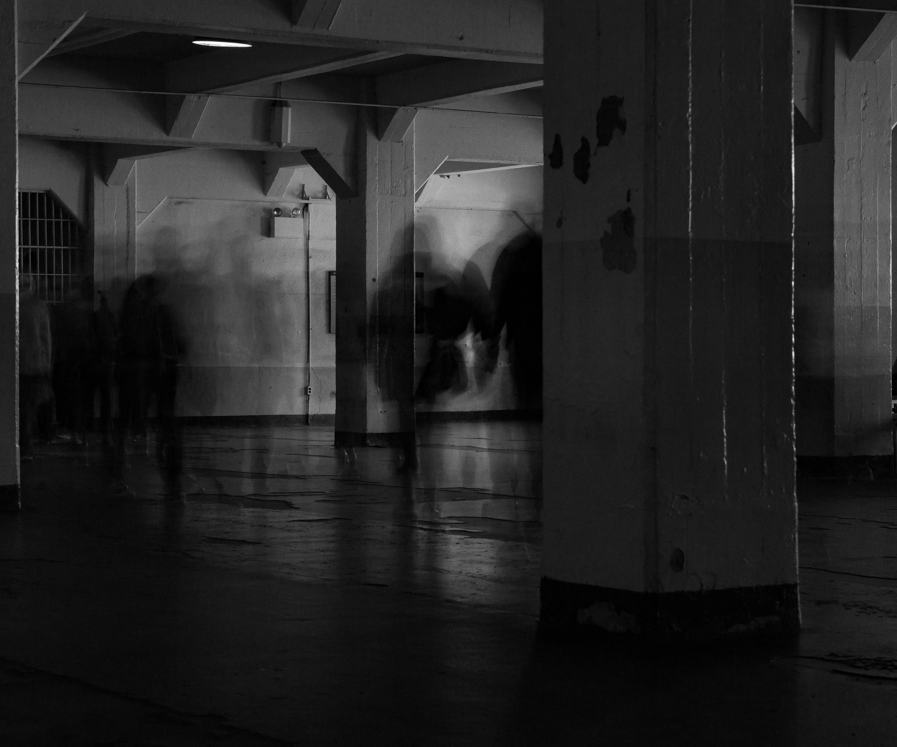 Movement in Stills