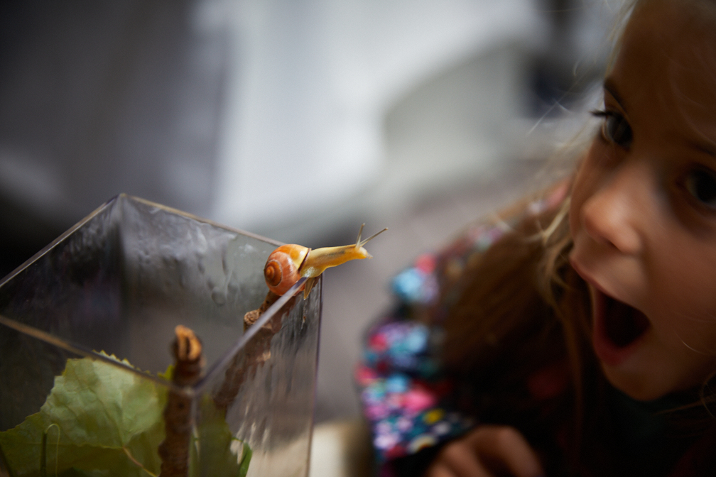 Hadley_snail-10