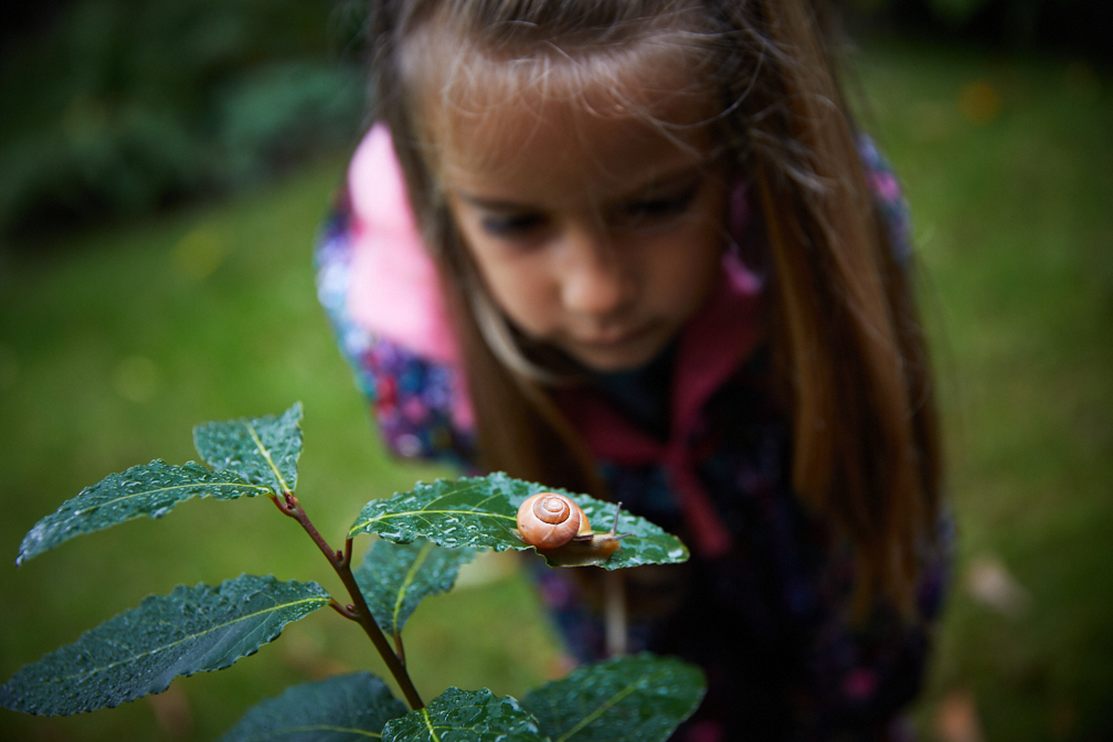 Hadley_snail-2